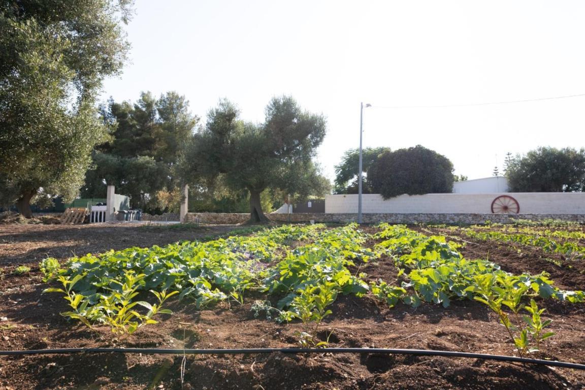 Agrifamily Village San Vito dei Normanni Buitenkant foto