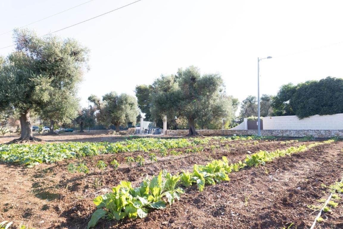 Agrifamily Village San Vito dei Normanni Buitenkant foto